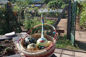 Offener Garten zum Mitmachen