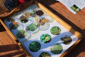 Offener Garten zum Mitmachen