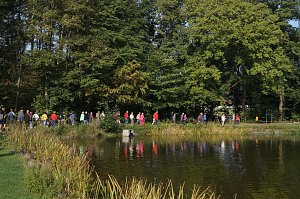 Wanderung rund um Neustadt
