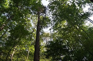 Wanderung rund um Neustadt