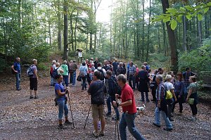 Wanderung rund um Neustadt