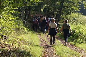 Wanderung rund um Neustadt