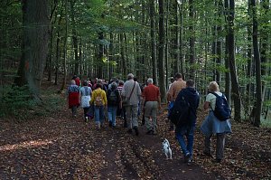 Wanderung rund um Neustadt