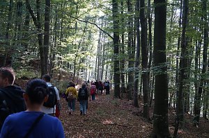 Wanderung rund um Neustadt