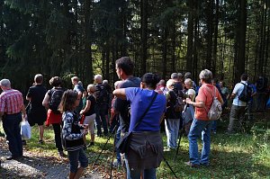 Wanderung rund um Neustadt
