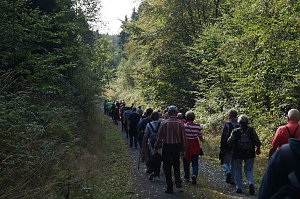 Wanderung rund um Neustadt