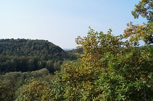 Wanderung rund um Neustadt