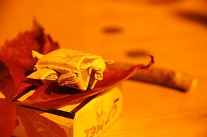25 Jahre Schrankenlos in Nordhausen