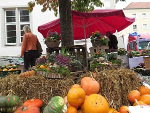 Herbstmarkt in Nordhausen