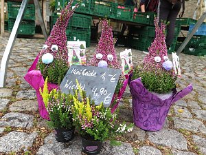 Herbstmarkt in Nordhausen
