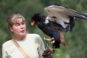 Besuch im Harzfalkenhof