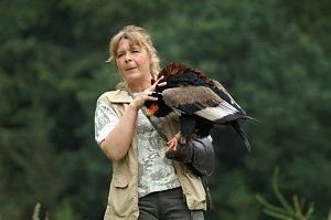 Besuch im Harzfalkenhof