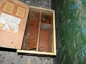 Unwirkliche Orte: Munitionsfabrik Kapen