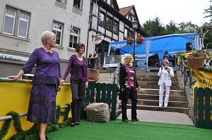 Altstadtfest 2009