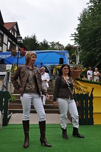Altstadtfest 2009