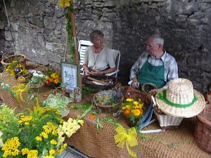 Altstadtfest