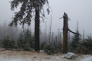 Heiligabend noch schnell auf den Brocken (2016)