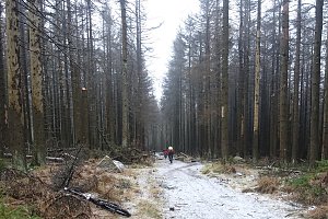 Heiligabend noch schnell auf den Brocken (2016)