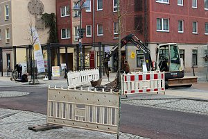 In Sondershausen wird gebuddelt