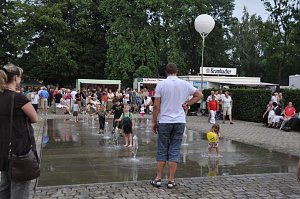 EVN-Party 2009
