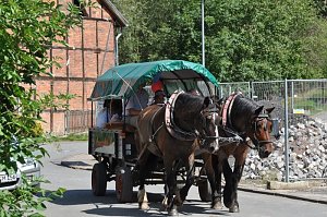 Hoffest R&uuml;dingsdorfer Schweiz