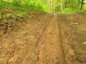 Tiefe Spuren im Waldweg