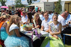 Geheimnis der Hofdamen gel&uuml;ftet