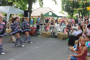 "Gro&szlig;e Schweinerei" vor der Kindervilla