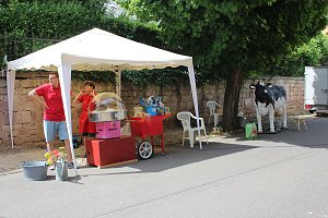 "Gro&szlig;e Schweinerei" vor der Kindervilla