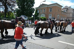 Festumzug zum 1090. Geburtstag der Rolandstadt