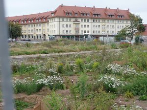 Die Neue Mitte