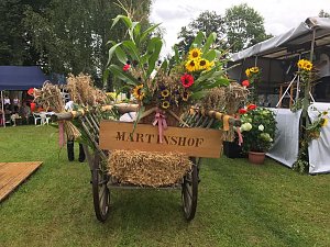 Park- und Seerosenfest in Werna