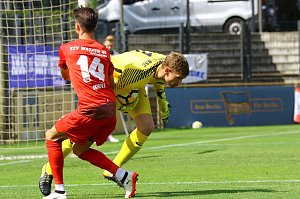 Wieder nicht belohnt - Wacker verliert bei Hertha