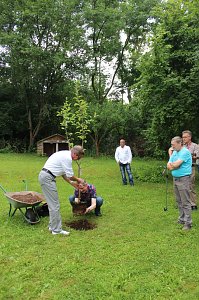 Der Apfel bleibt dran!