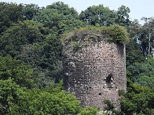 10. Schlepperfest in Herrmannsacker