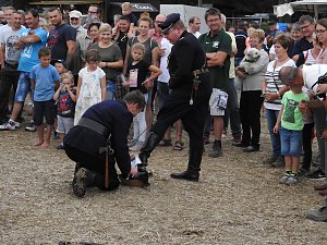 10. Schlepperfest in Herrmannsacker