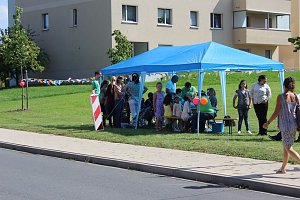 Falkner sorgte f&uuml;r Auflauf