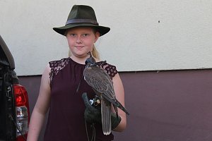 Falkner sorgte f&uuml;r Auflauf