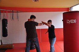 Kampfsport Live