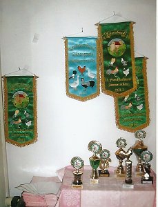 Rassegefl&uuml;gelausstellung geplant