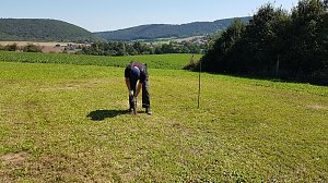 K&ouml;hlertage an der Arche Nebra