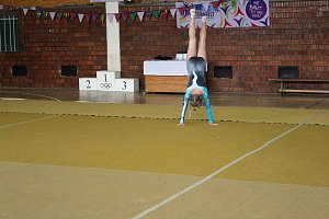 23. Kyffh&auml;userkreisjugendspiele in der Borntalturnhalle