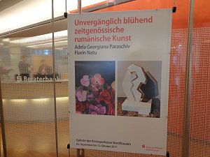 Rum&auml;nische Kunst in der KSK-Galerie