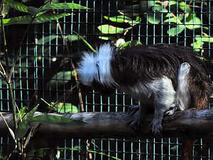 Zu Gast im Tierpark Dessau