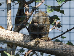 Zu Gast im Tierpark Dessau