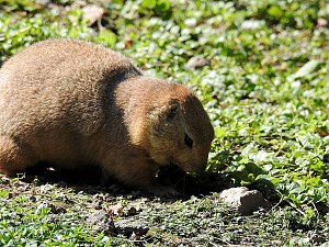 Zu Gast im Tierpark Dessau
