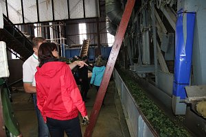 Start der Hopfenernte in Gro&szlig;enehrich