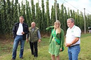 Start der Hopfenernte in Gro&szlig;enehrich