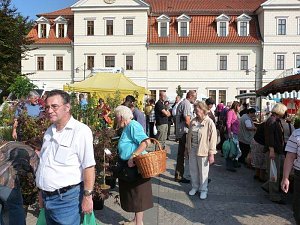 Planzenmarkt in Sondershausen