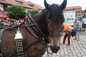 Schlossfest Heringen